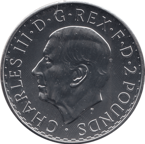 2024 SILVER BRITANNIA ONE OUNCE TWO POUNDS - Cambridgeshire Coins