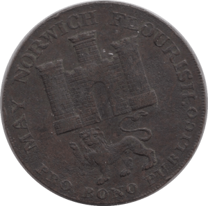 1792 HALF PENNY TOKEN NORWICH - HALFPENNY TOKEN - Cambridgeshire Coins