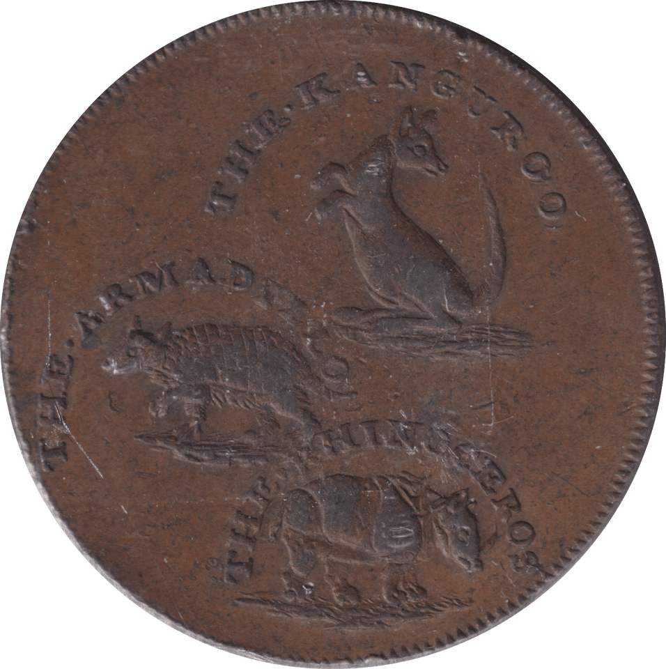1795 HALFPENNY T HALL TAXIDERMY TOKEN FINSBURY SQUARE - HALFPENNY TOKEN - Cambridgeshire Coins