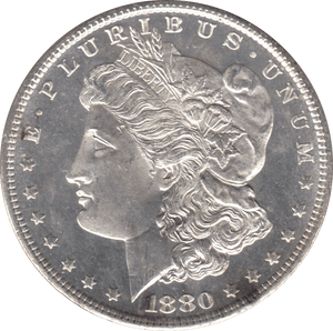 1880 SILVER MORGAN DOLLAR SAN FRANCISCO MINT - SILVER WORLD COINS - Cambridgeshire Coins