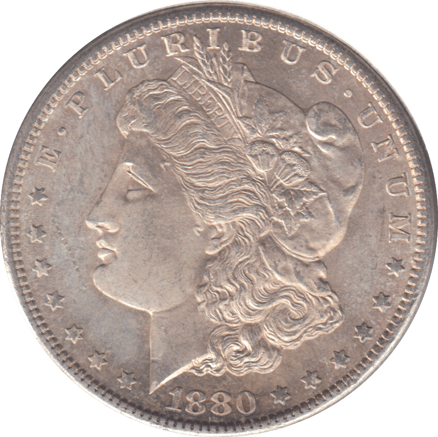 1880 SILVER MORGAN DOLLAR USA SAN FRANCISCO - SILVER WORLD COINS - Cambridgeshire Coins