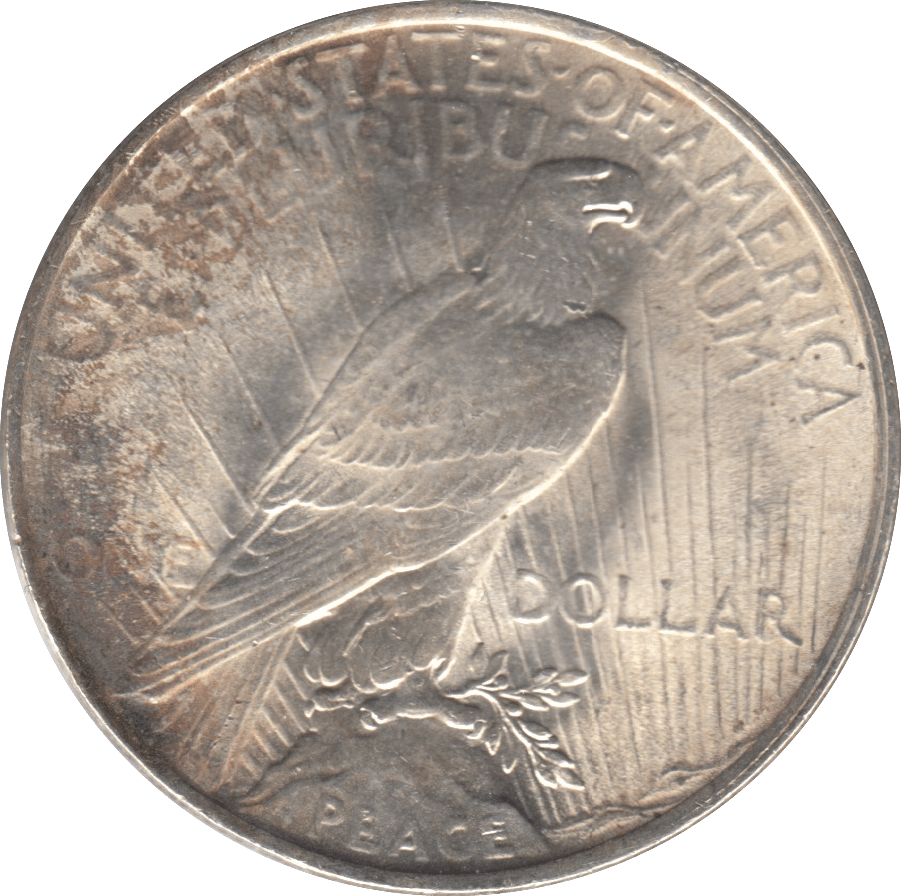 1922 SILVER PEACE DOLLAR PHILADELPHIA MINT 2 - SILVER WORLD COINS - Cambridgeshire Coins