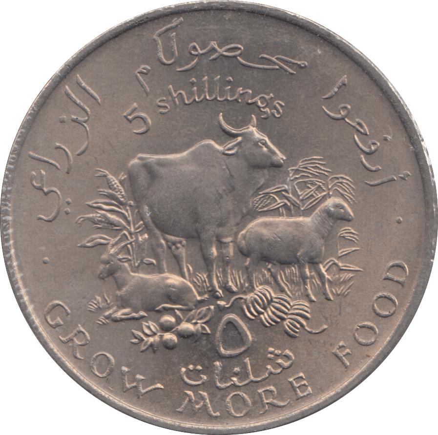 1970 5 SHILLINGS SOMALIA - WORLD COINS - Cambridgeshire Coins