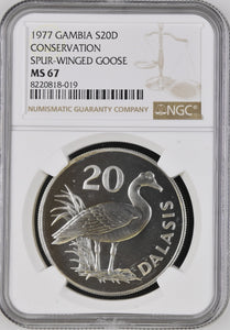 1977 SILVER GAMBIA TWENTY DELASIS CONSERVATION SPUR WINGED GOOSE ( NGC ) MS67 - NGC SILVER COINS - Cambridgeshire Coins