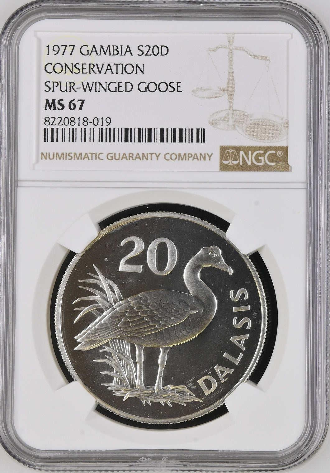 1977 SILVER GAMBIA TWENTY DELASIS CONSERVATION SPUR WINGED GOOSE ( NGC ) MS67 - NGC SILVER COINS - Cambridgeshire Coins