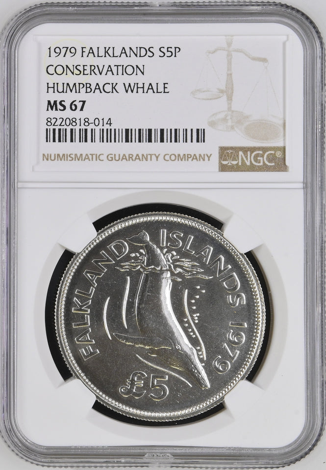 1979 SILVER FALKLANDS FIVE POUNDS CONSERVATION HUMPBACK WHALE ( NGC ) MS68 - NGC SILVER COINS - Cambridgeshire Coins