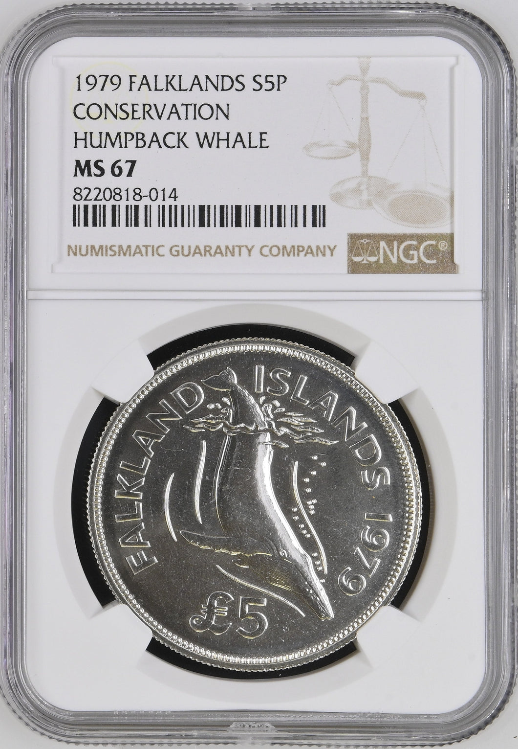 1979 SILVER FALKLANDS FIVE POUNDS CONSERVATION HUMPBACK WHALE ( NGC ) MS68 - NGC SILVER COINS - Cambridgeshire Coins