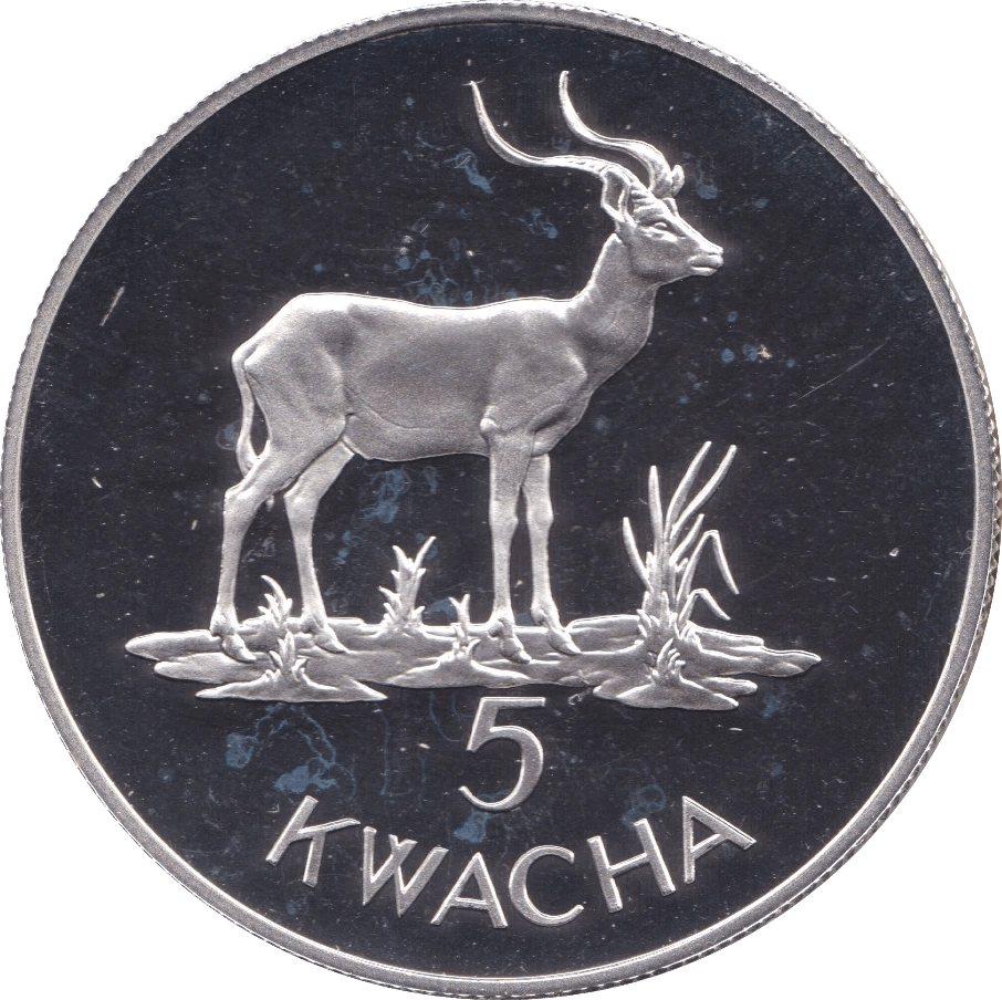 1979 ZAMBIA 5 KWACHA AFRICAN LONGHORN SILVER PROOF COIN .925 - SILVER WORLD COINS - Cambridgeshire Coins