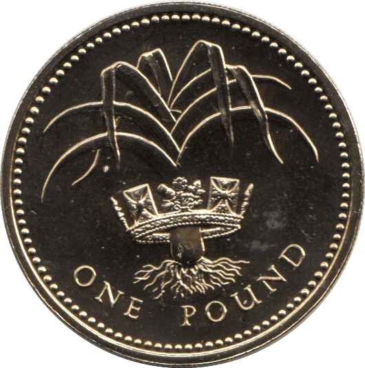 1985 BRILLIANT UNCIRCULATED £1 COIN PRESENTATION PACK WALES 1985 - £1 BU PACK - Cambridgeshire Coins