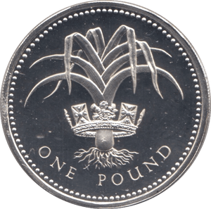 1985 SILVER PROOF WELSH LEEK ONE POUND UNITED KINGDOM - SILVER WORLD COINS - Cambridgeshire Coins