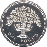1987 £1 SILVER PROOF - £1 Silver Proof - Cambridgeshire Coins