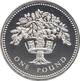 1987 SILVER PROOF ONE POUND - WORLD COINS - Cambridgeshire Coins