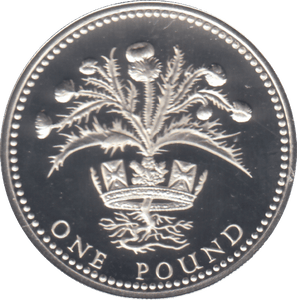 1989 £1 SILVER PROOF - £1 Silver Proof - Cambridgeshire Coins