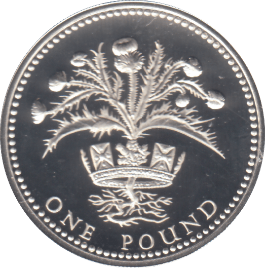 1989 £1 SILVER PROOF - £1 Silver Proof - Cambridgeshire Coins