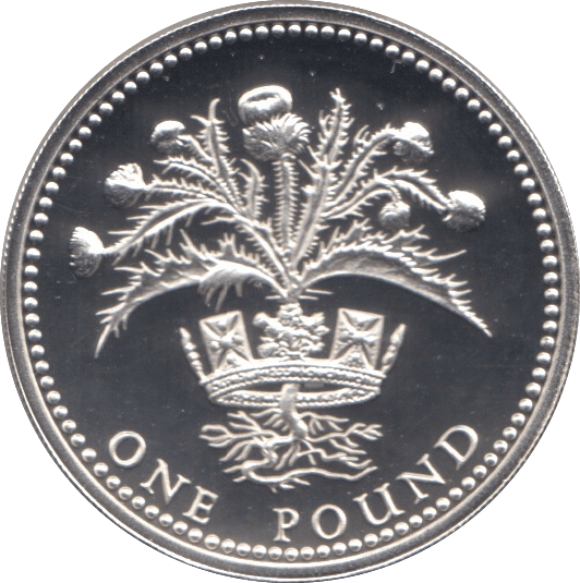 1989 SILVER PROOF ONE POUND £1 SCOTTISH THISTLE - SILVER WORLD COINS - Cambridgeshire Coins