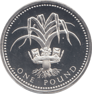 1990 £1 SILVER PROOF - £1 Silver Proof - Cambridgeshire Coins