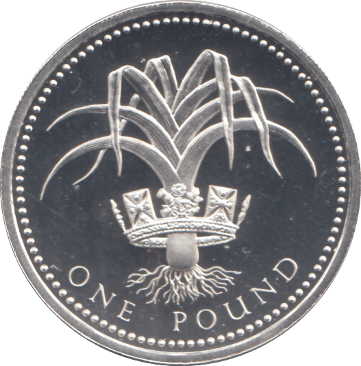 1990 £1 SILVER PROOF - £1 Silver Proof - Cambridgeshire Coins
