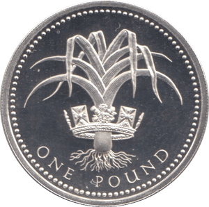 1990 SILVER PROOF ONE POUND - SILVER WORLD COINS - Cambridgeshire Coins