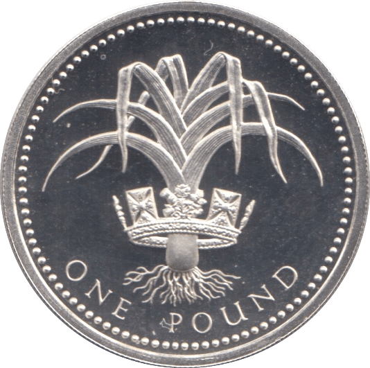 1990 SILVER PROOF ONE POUND - SILVER WORLD COINS - Cambridgeshire Coins