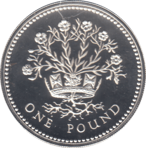 1991 £1 SILVER PROOF - £1 Silver Proof - Cambridgeshire Coins