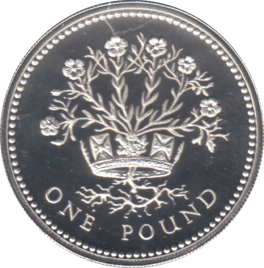 1991 £1 SILVER PROOF - £1 Silver Proof - Cambridgeshire Coins