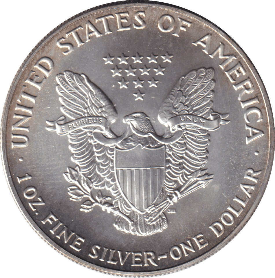 1991 SILVER ONE DOLLAR USA - SILVER WORLD COINS - Cambridgeshire Coins