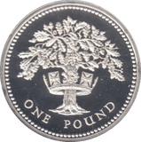1992 £1 SILVER PROOF - £1 Silver Proof - Cambridgeshire Coins