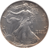 1993 SILVER LIBERTY DOLLAR USA - SILVER WORLD COINS - Cambridgeshire Coins