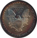 1995 SILVER LIBERTY DOLLAR USA - SILVER WORLD COINS - Cambridgeshire Coins