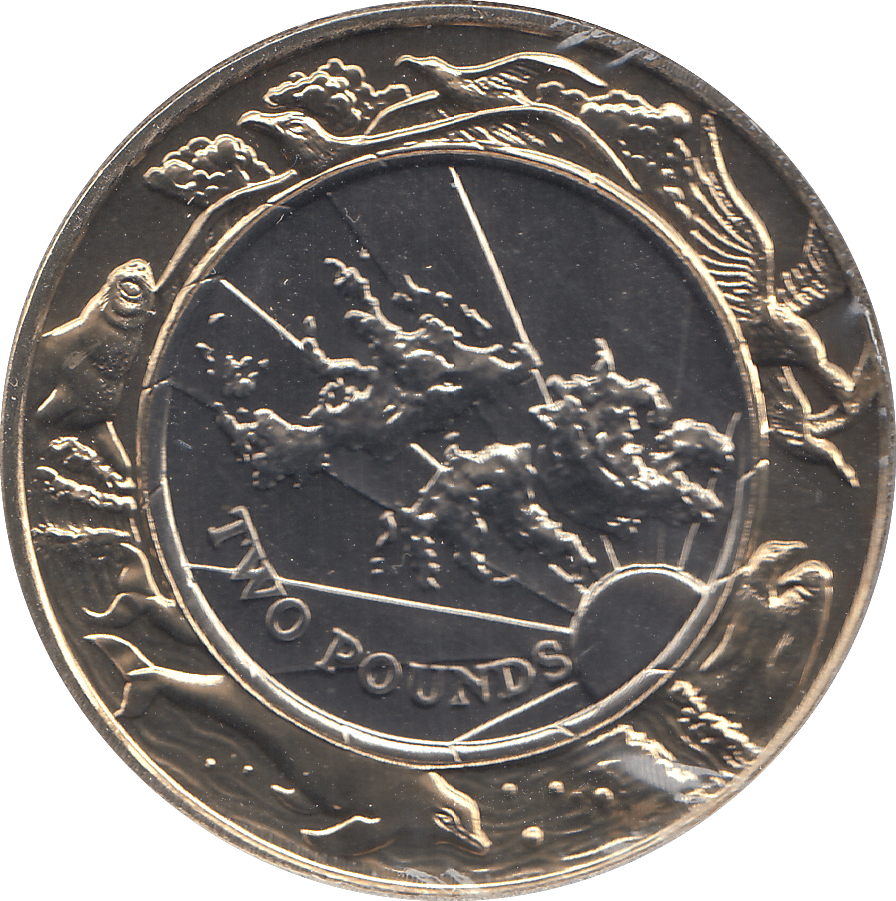 1999 2 POUNDS FALKLAND ISLANDS ( BU ) - WORLD COINS - Cambridgeshire Coins