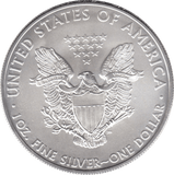 2008 COLOURISED SILVER LIBERTY DOLLAR USA - SILVER WORLD COINS - Cambridgeshire Coins