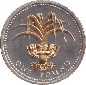 2008 SILVER PROOF GOLD PLATED £1 - £1 Silver Proof - Cambridgeshire Coins