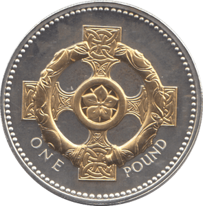 2008 SILVER PROOF ONE POUND COIN - WORLD COINS - Cambridgeshire Coins