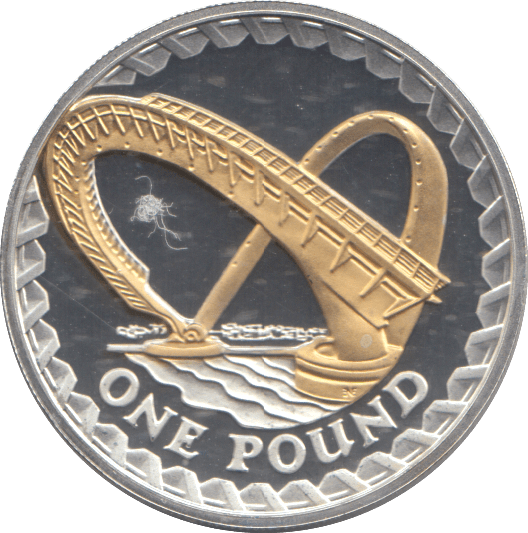 2008 SILVER PROOF ONE POUND COIN - WORLD COINS - Cambridgeshire Coins