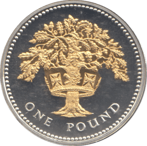 2008 SILVER PROOF ONE POUND COIN - WORLD COINS - Cambridgeshire Coins