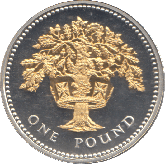 2008 SILVER PROOF ONE POUND COIN - WORLD COINS - Cambridgeshire Coins