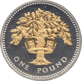 2008 SILVER PROOF ONE POUND COIN - WORLD COINS - Cambridgeshire Coins