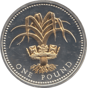 2008 SILVER PROOF ONE POUND COIN - WORLD COINS - Cambridgeshire Coins