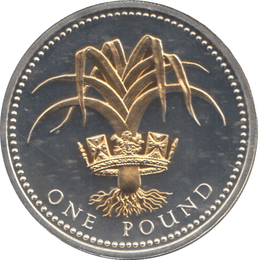2008 SILVER PROOF ONE POUND COIN - WORLD COINS - Cambridgeshire Coins