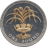 2008 SILVER PROOF ONE POUND COIN - WORLD COINS - Cambridgeshire Coins
