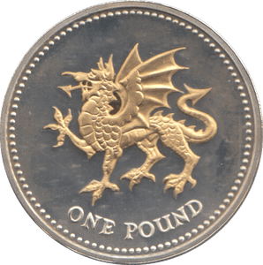2008 SILVER PROOF ONE POUND COIN - WORLD COINS - Cambridgeshire Coins
