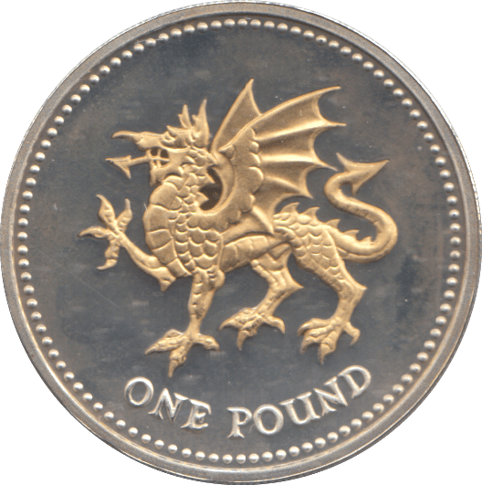 2008 SILVER PROOF ONE POUND COIN - WORLD COINS - Cambridgeshire Coins
