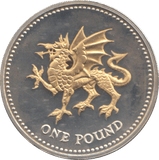 2008 SILVER PROOF ONE POUND COIN - WORLD COINS - Cambridgeshire Coins