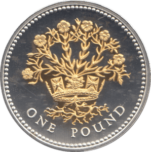 2008 SILVER PROOF ONE POUND COIN - WORLD COINS - Cambridgeshire Coins