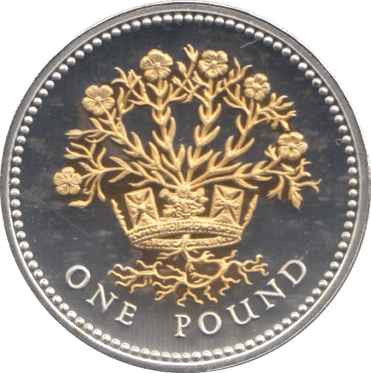 2008 SILVER PROOF ONE POUND COIN - WORLD COINS - Cambridgeshire Coins