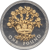 2008 SILVER PROOF ONE POUND COIN - WORLD COINS - Cambridgeshire Coins