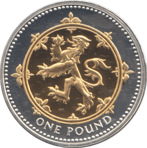 2008 SILVER PROOF ONE POUND COIN - WORLD COINS - Cambridgeshire Coins