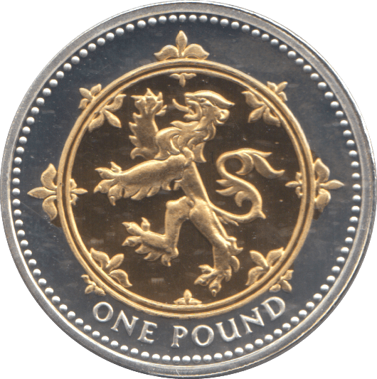2008 SILVER PROOF ONE POUND COIN - WORLD COINS - Cambridgeshire Coins