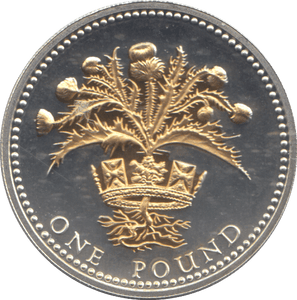 2008 SILVER PROOF ONE POUND COIN - WORLD COINS - Cambridgeshire Coins