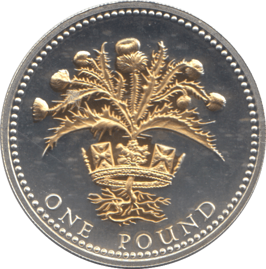 2008 SILVER PROOF ONE POUND COIN - WORLD COINS - Cambridgeshire Coins